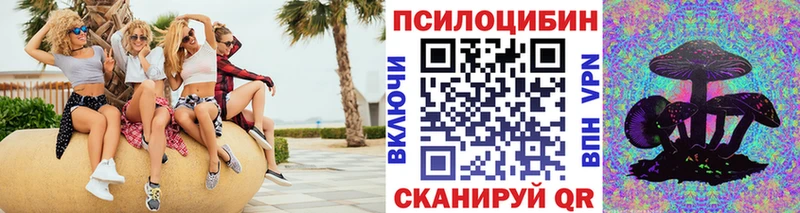где найти наркотики  Новокубанск  Галлюциногенные грибы Psilocybine cubensis 
